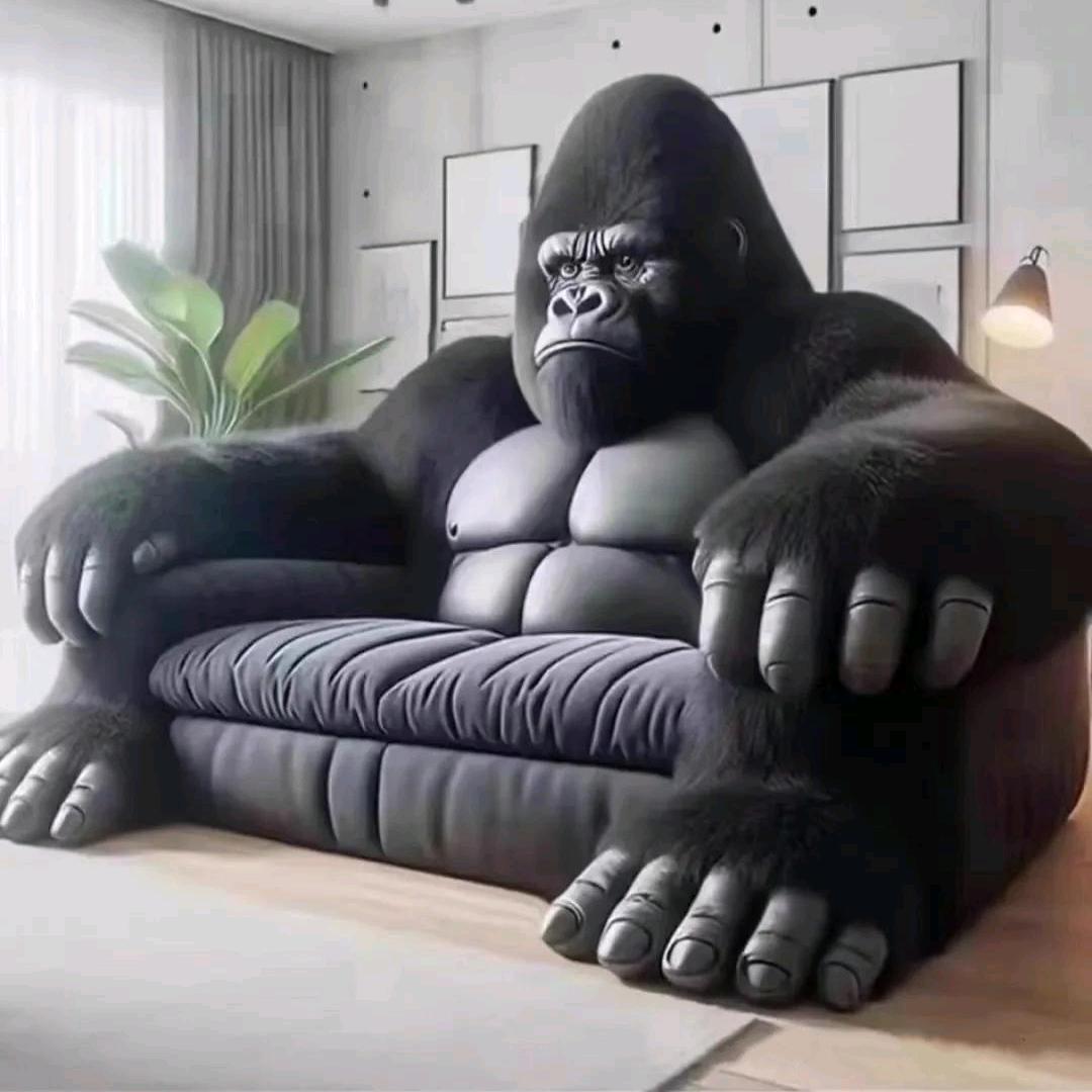 ꧁白天不懂爷の黑꧂