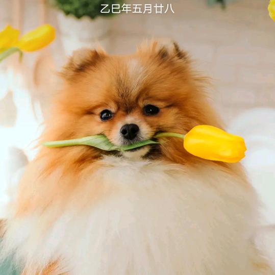 用青春换柴米油盐