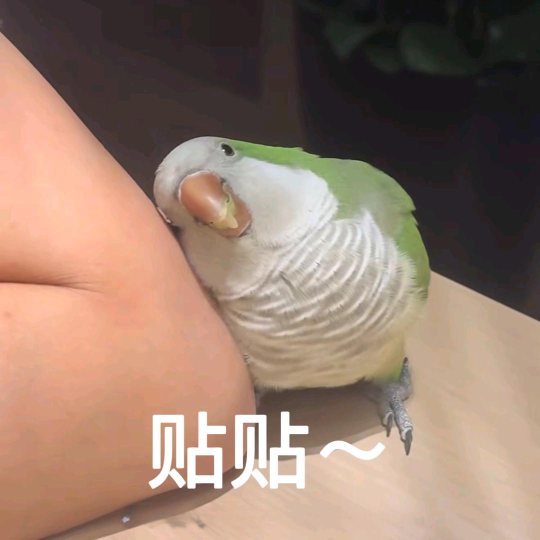 果酱