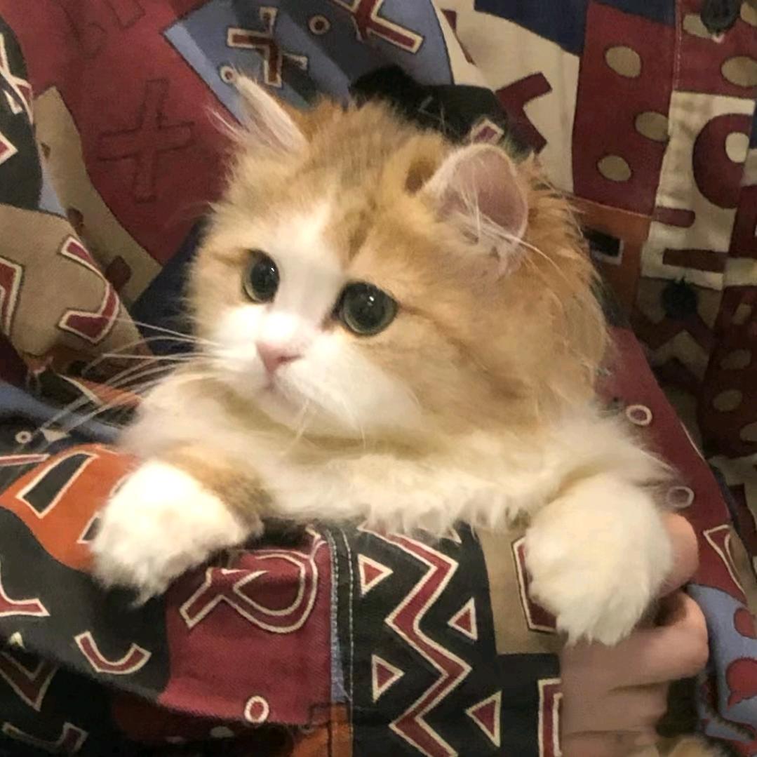 。。。