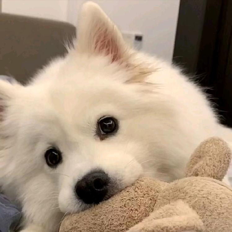 灰
