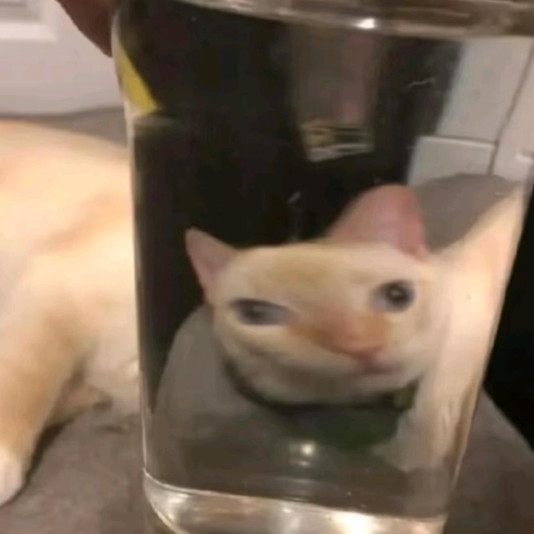 f.