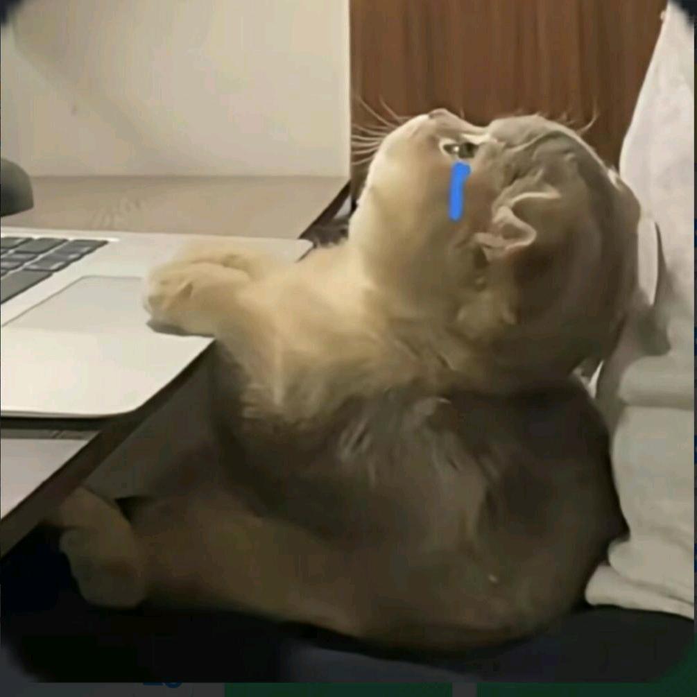 常温且加冰