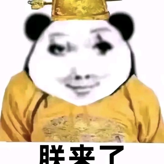 刀乐哥