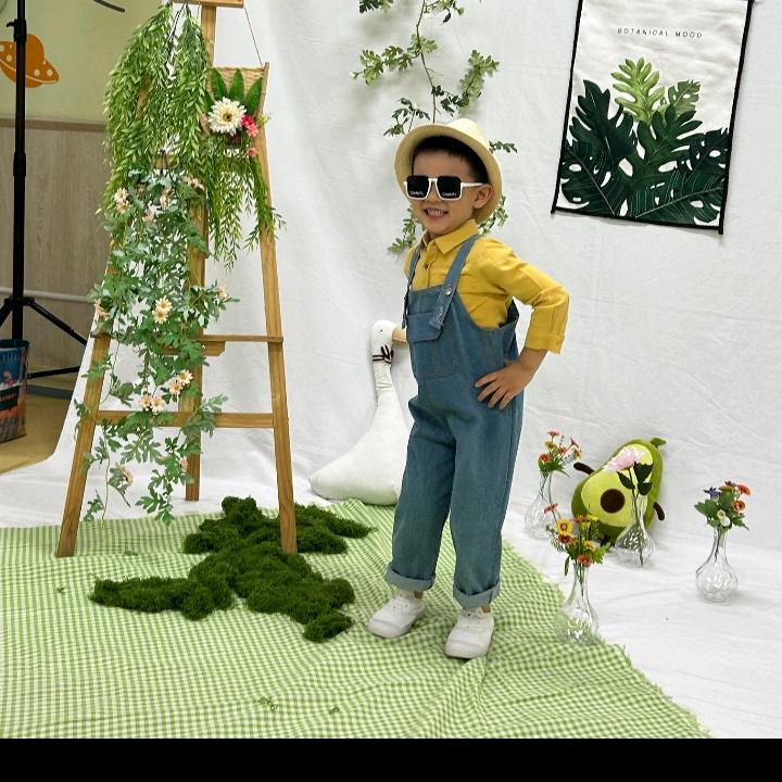 有风无风皆自由