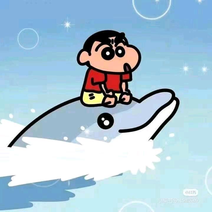 二十八s