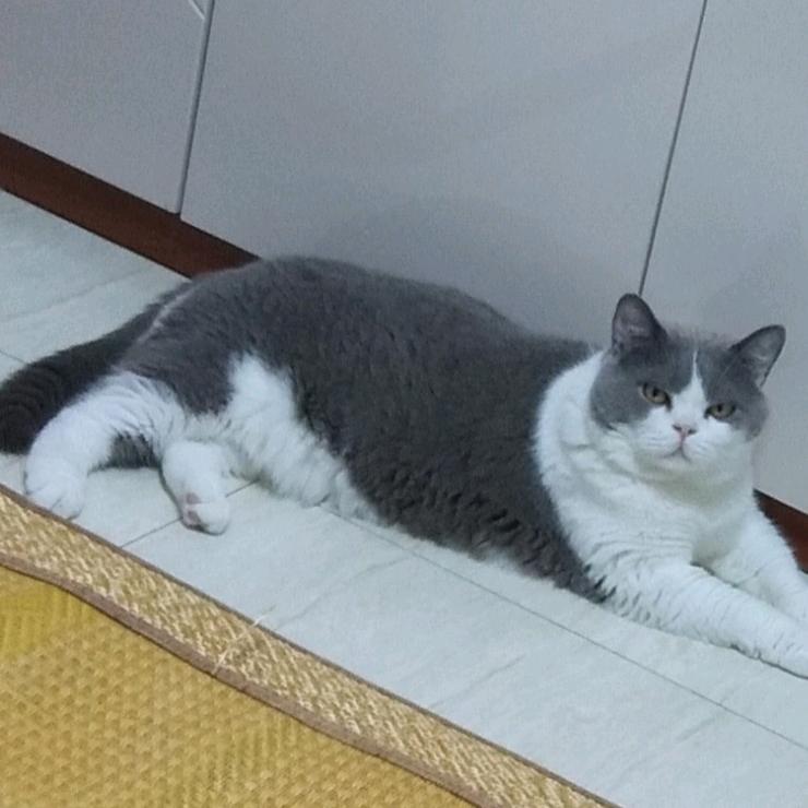 ^o^书