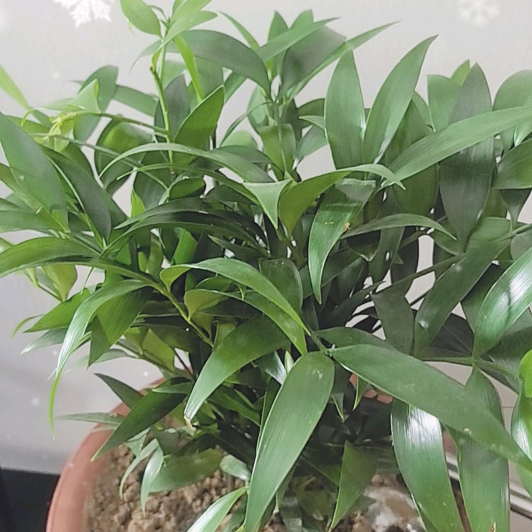 董大姐百货商贸