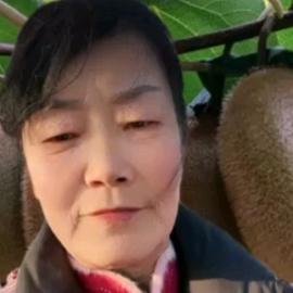王姐橱窗小号