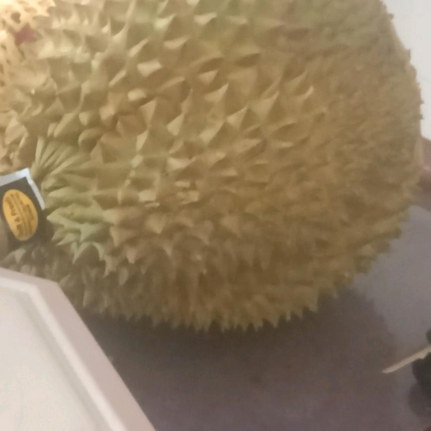 陈先先