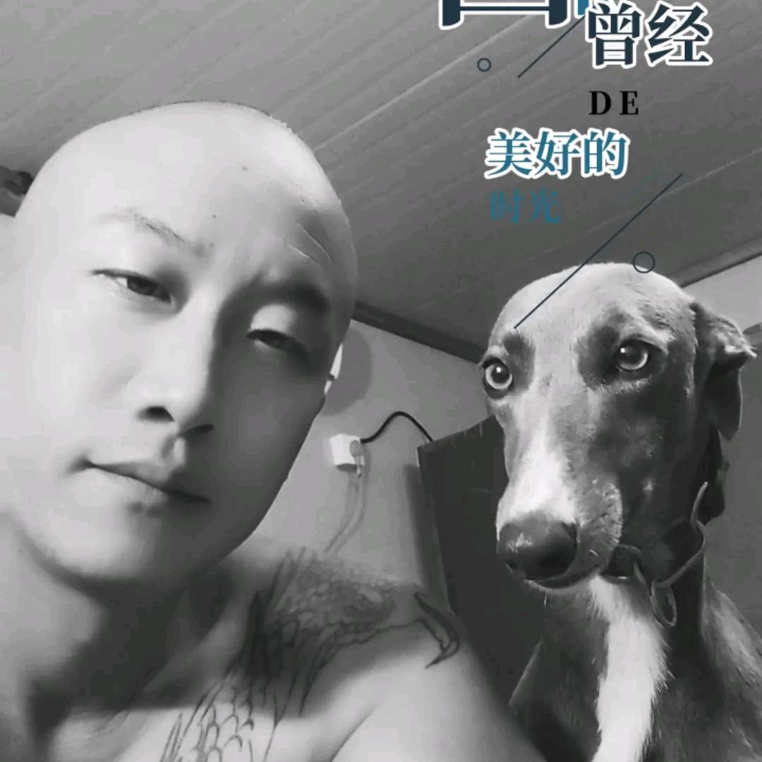 王训龙