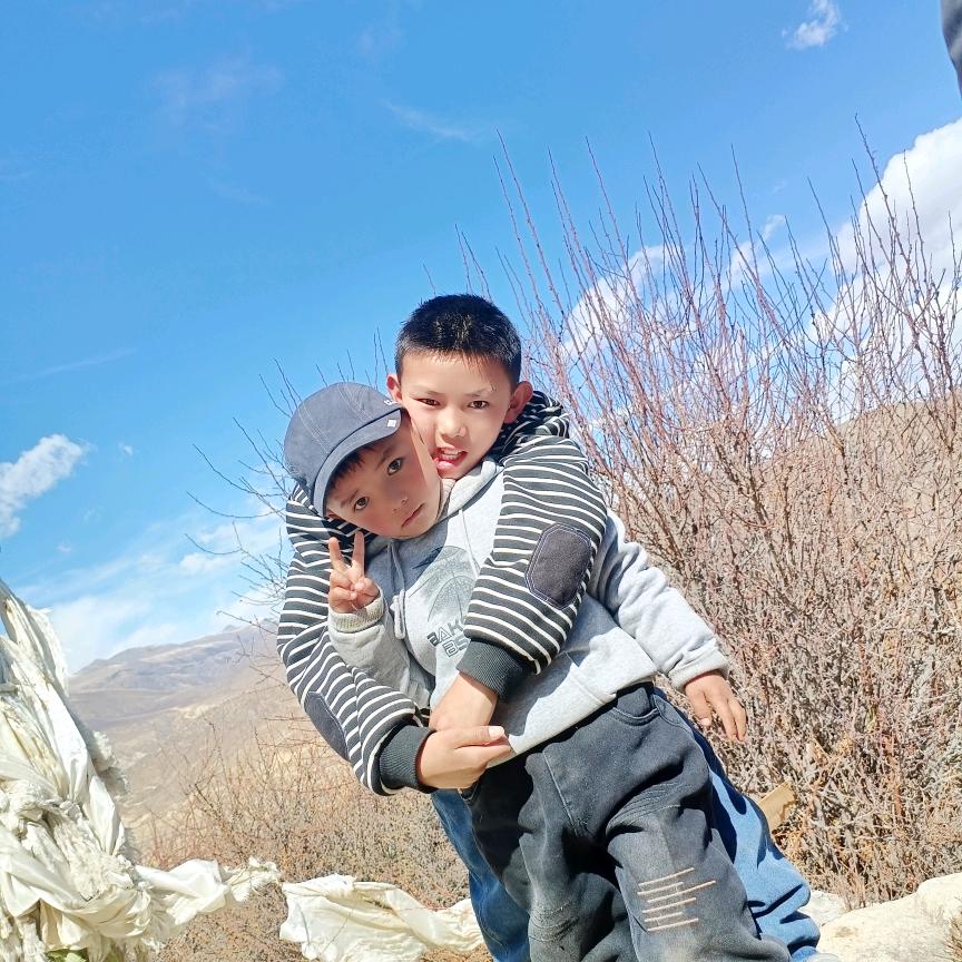 达孜💐💐白珍