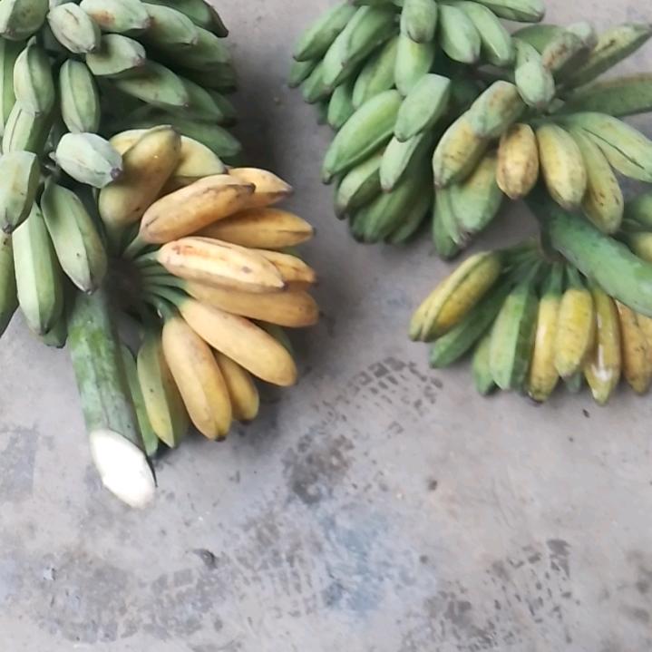 四川长宁单身帅哥