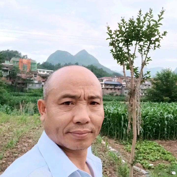 朱哥2（睌上7：40）