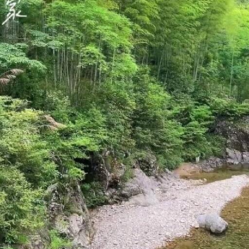 八方来财！
