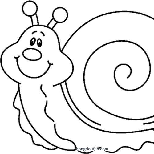 会飞的蜗牛