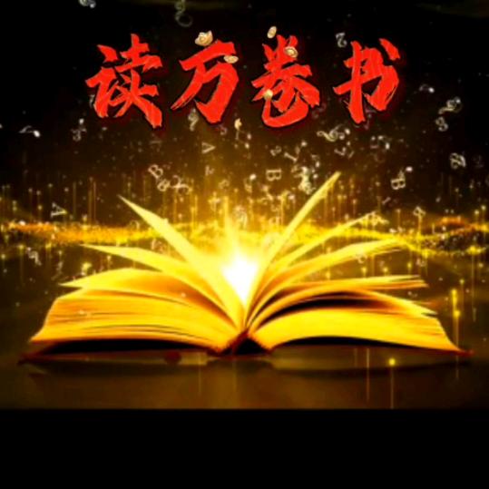 凤凤腾飞游天下