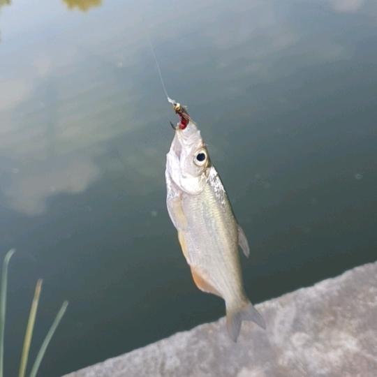 🌈易守六六六🎣