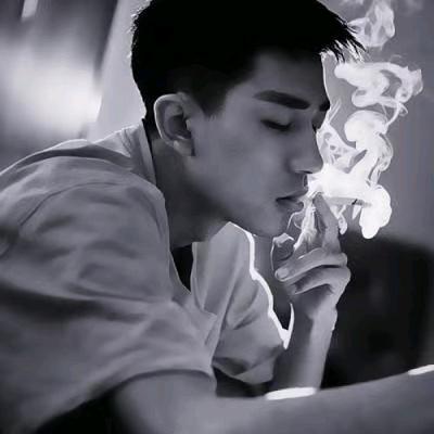 阿拉丁李