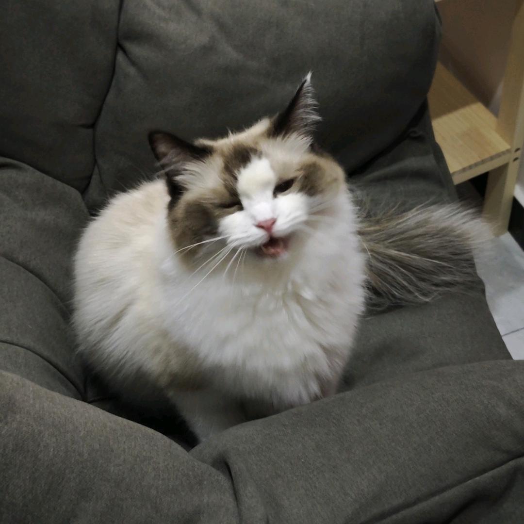 挑完辣椒皮就吃饭