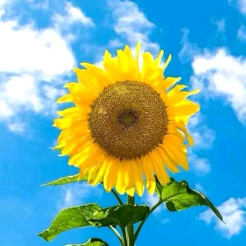 福缘德@@