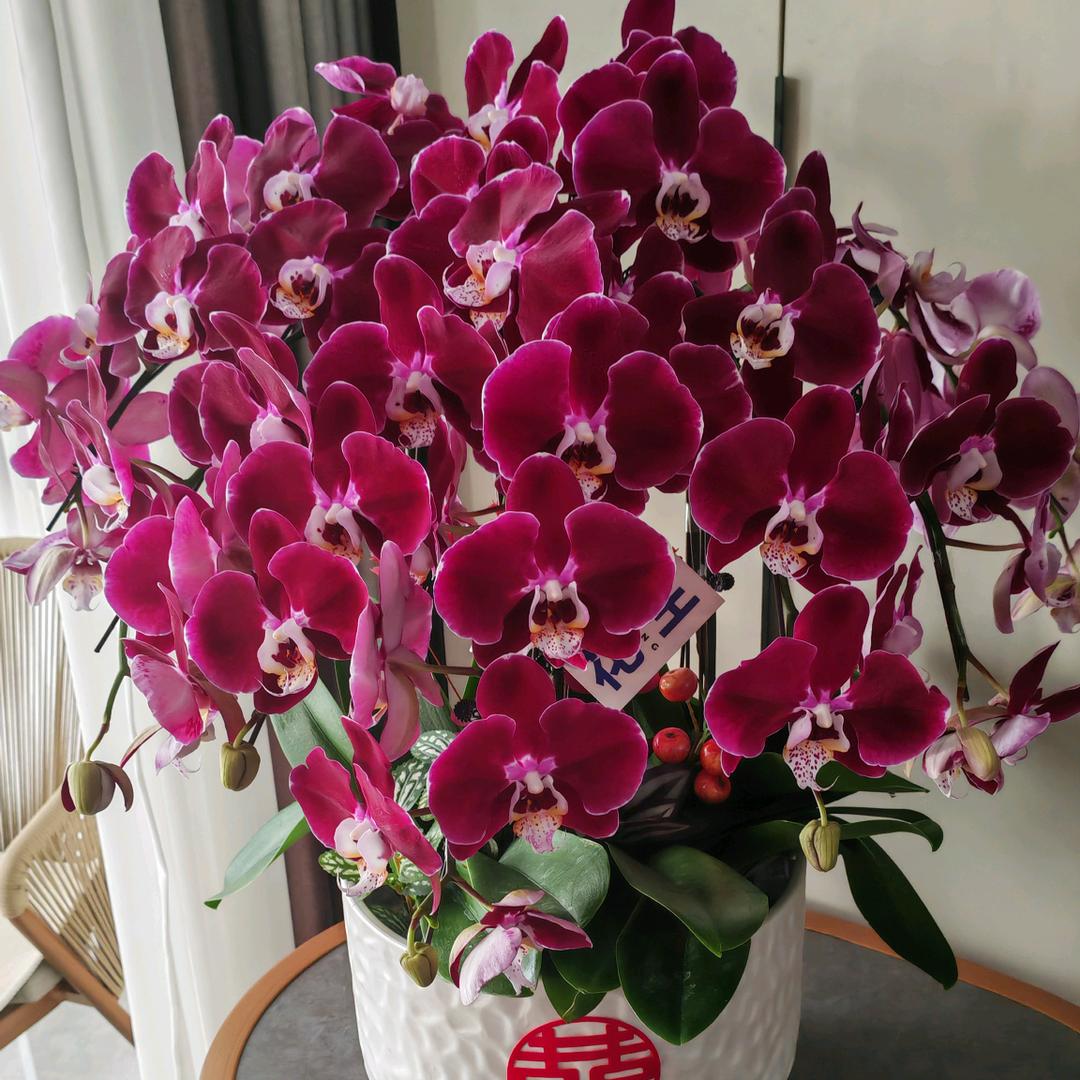 零食小店（心桐）