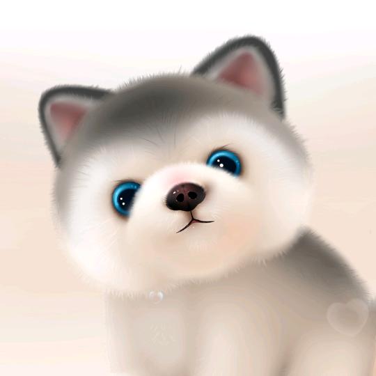 豆