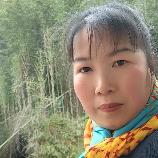 冬月(停播学习中)