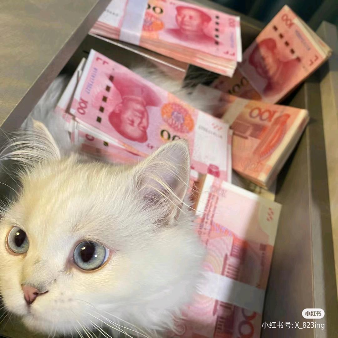 爱吃脆木耳的土豆大王（好运版）