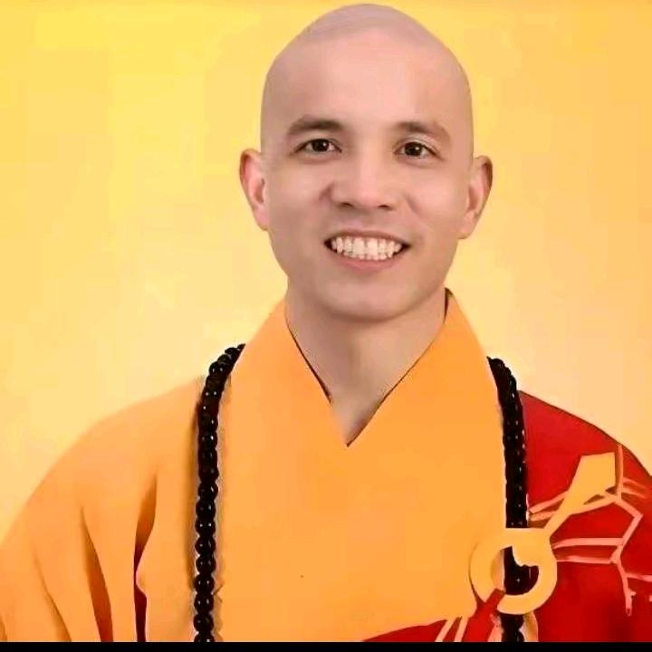 受伤的总是我