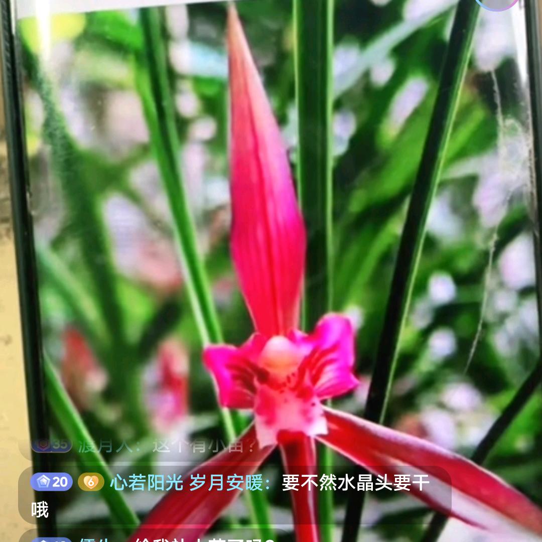 有梦想的人才会有追求