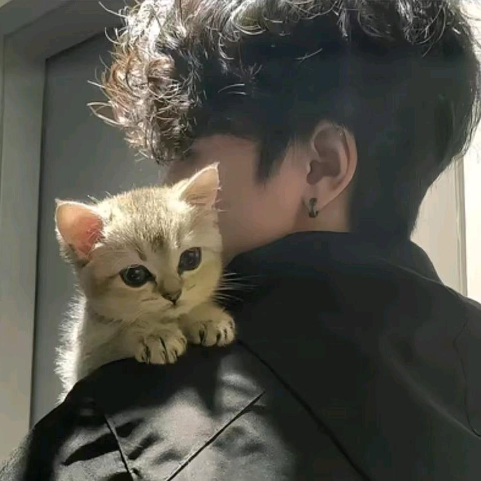 ⁸³¹ 我的鱼干呢⁰⁹🧸