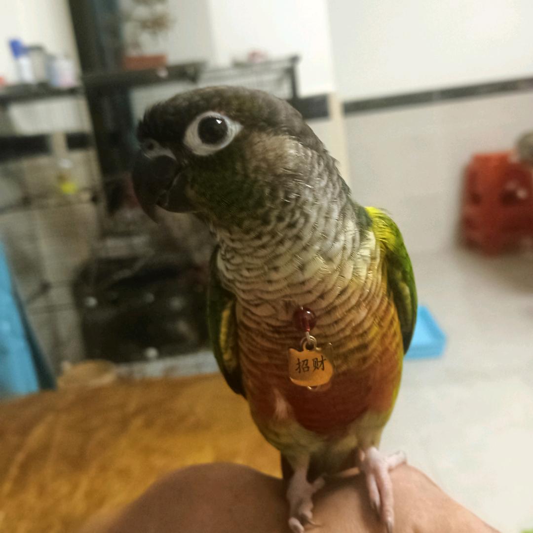 辉煌