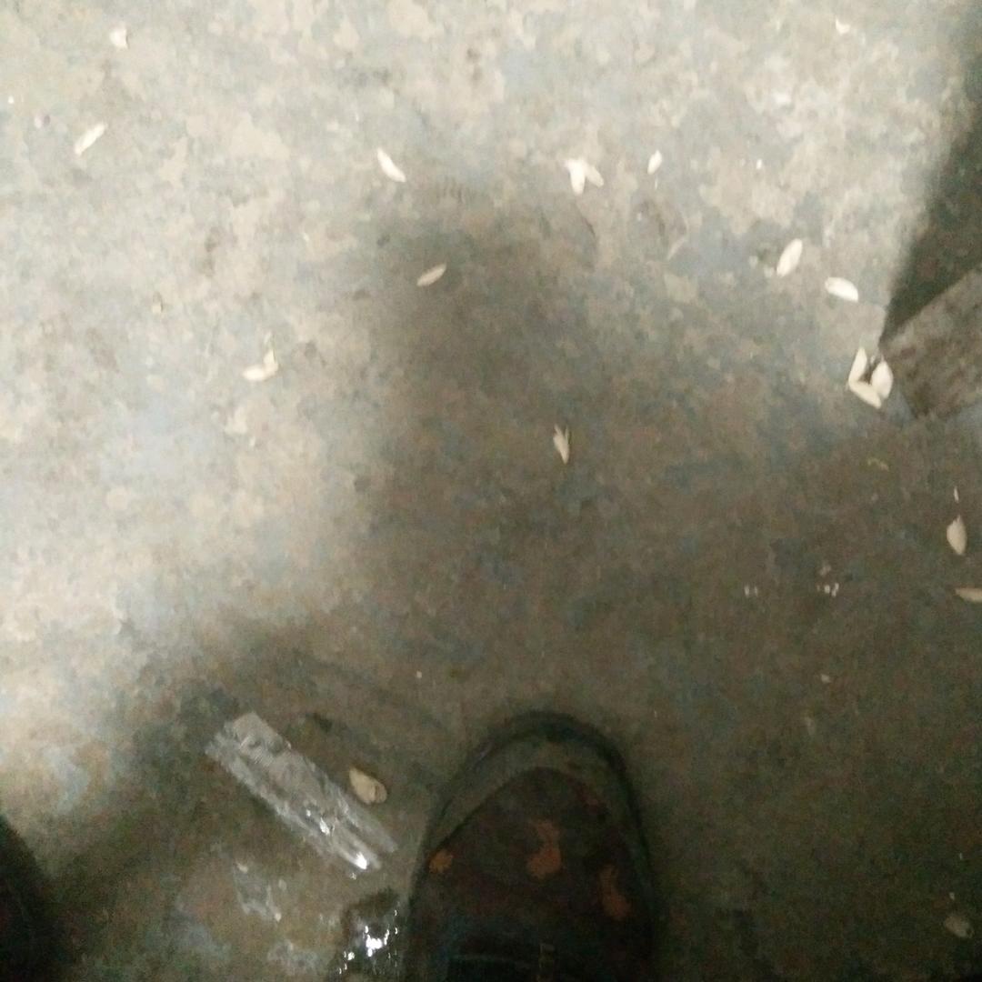 老尤