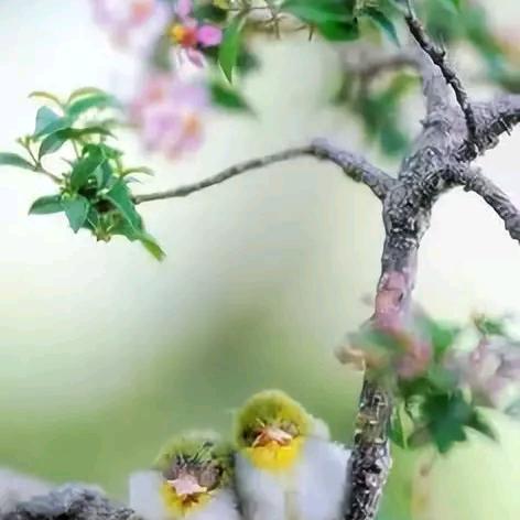 农村路也滑，人心更复杂