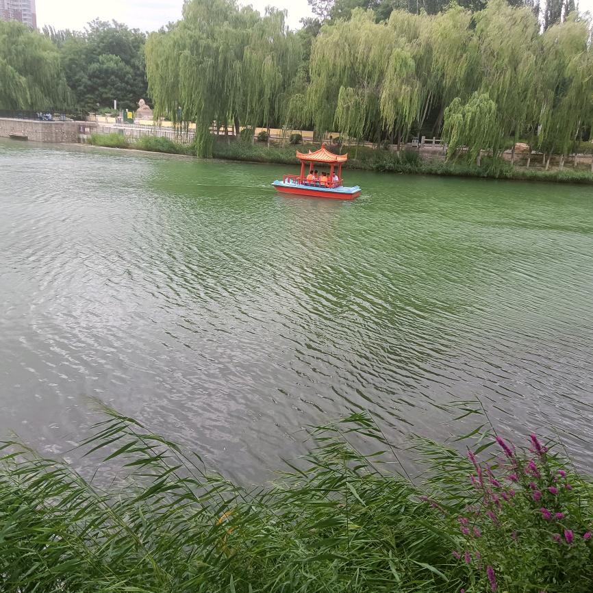 等你来