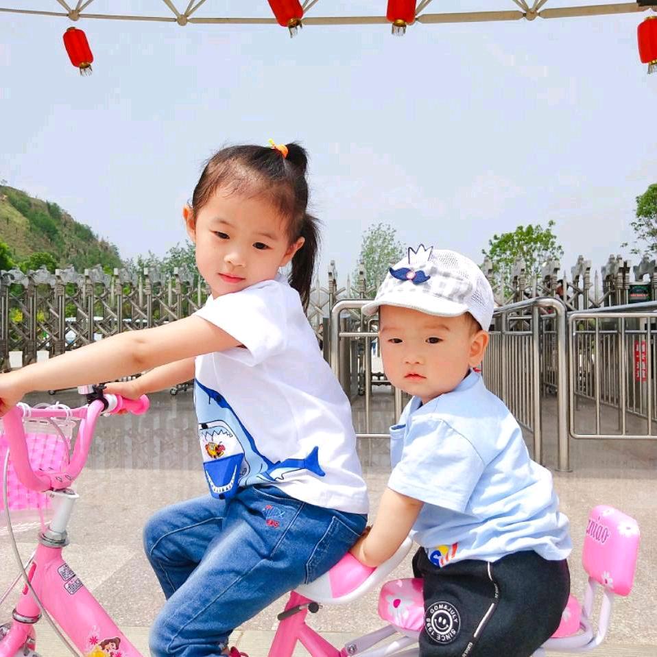 杨二姐