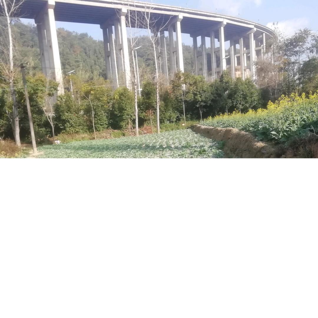 王叔