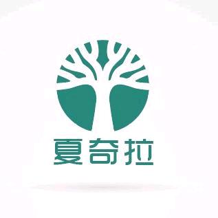 夏奇拉家具（每天下午2点开播）