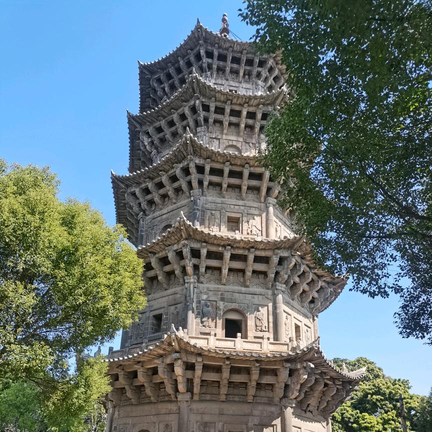 我爱玫瑰