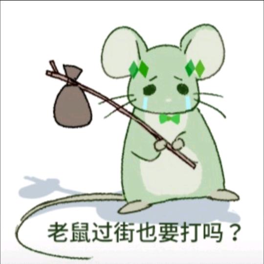 鼠鼠