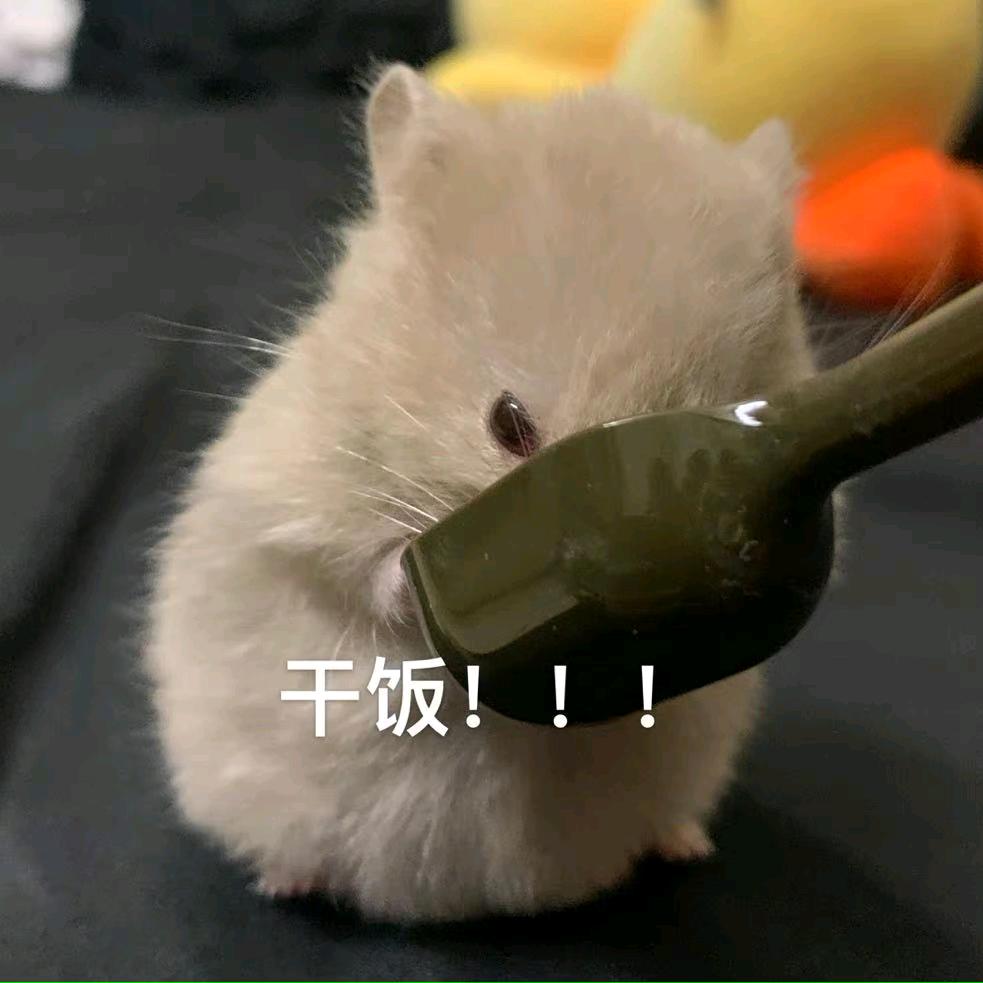 童年的纸飞机