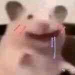 取个昵称真的好难好难啊