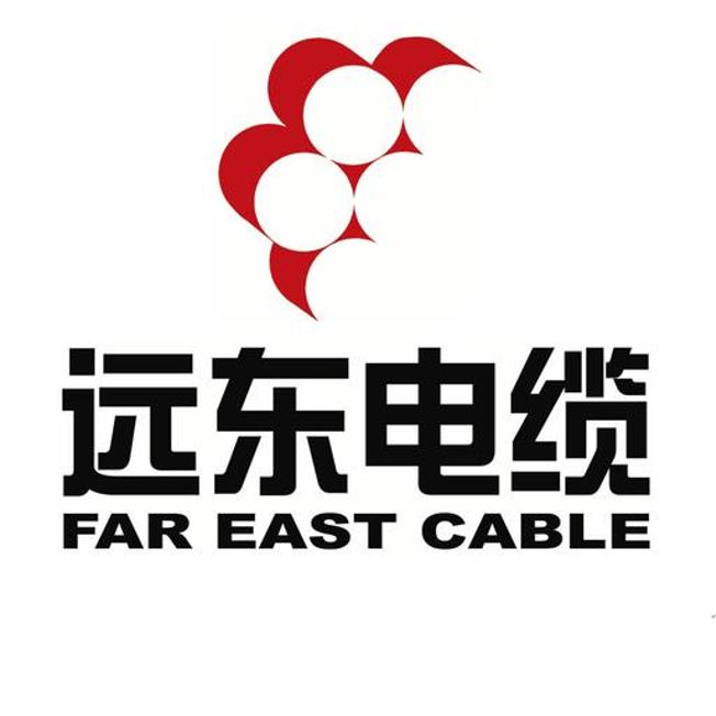 远东电缆老蒋