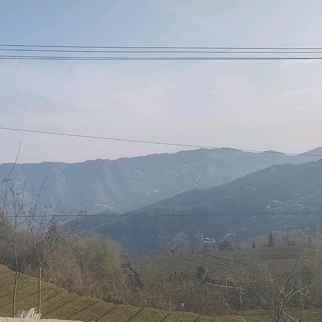 璟