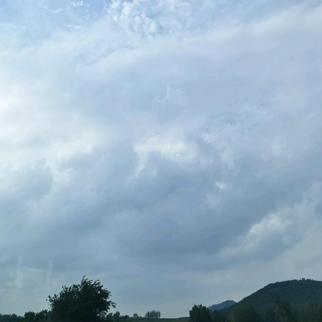 诸葛沫曦
