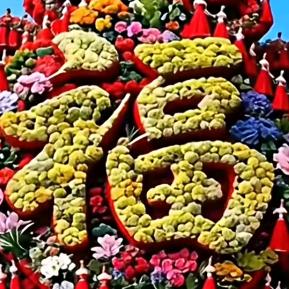 平安是福（从⭕️开始）