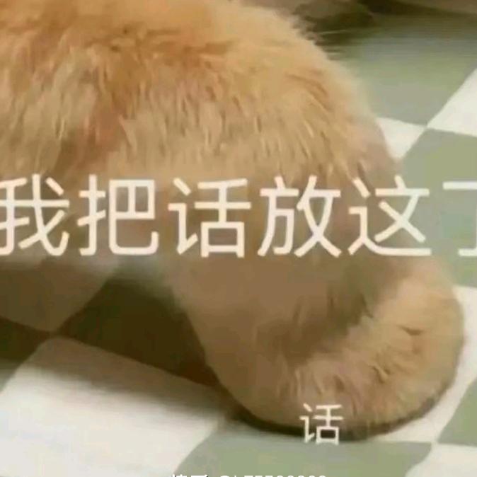 义乌华彬二手车