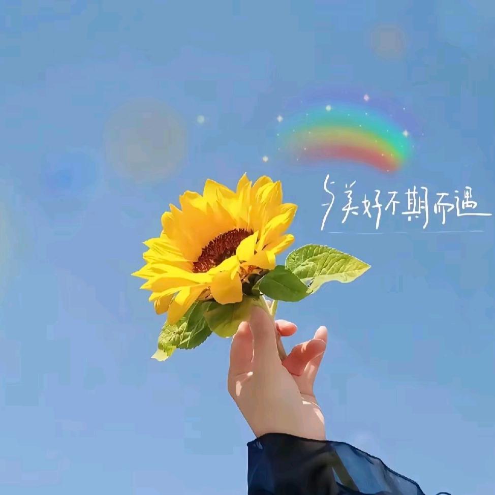 凌橙子🍊