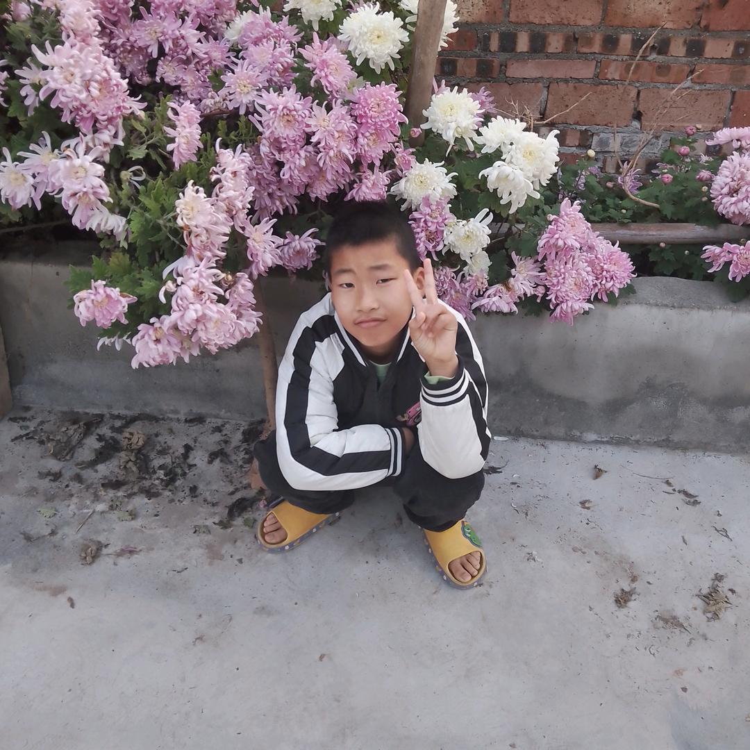 彬彬博博